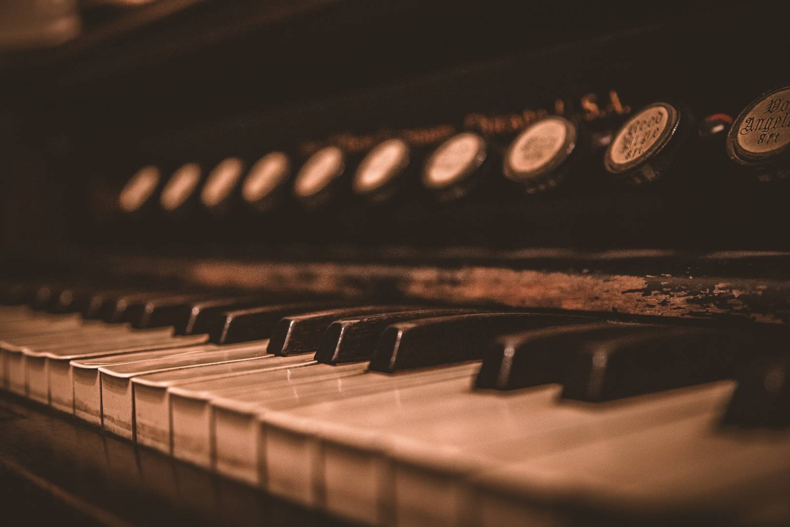 deleece-cook-WB_AUPlPC5g-unsplash