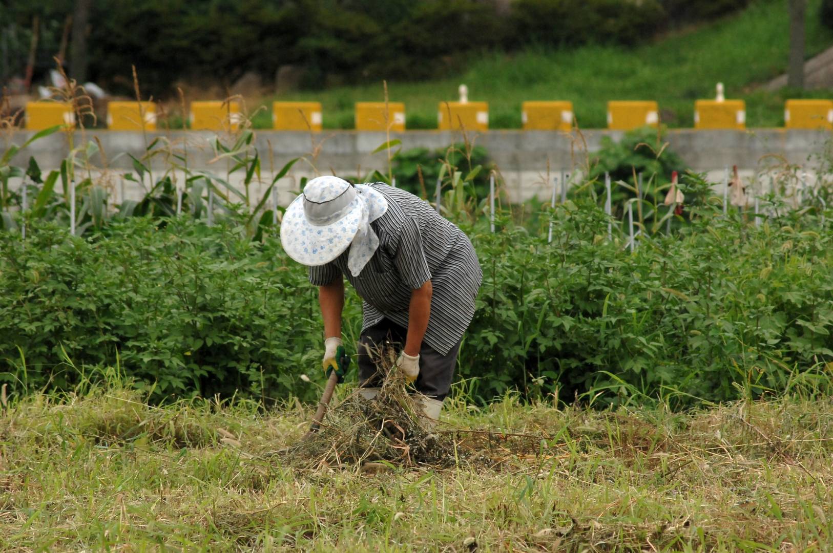 farmer-gdff56c4b6_1920