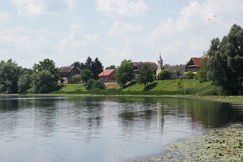 lonjsko